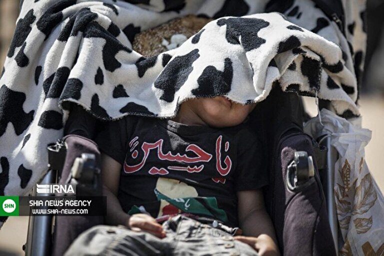 تصاویر/ کودکان حسینی در پیاده روی اربعین
