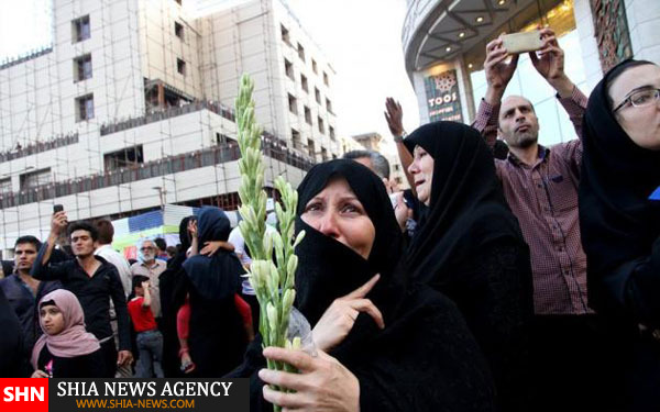 تصاویر گلباران حرم مطهر رضوی