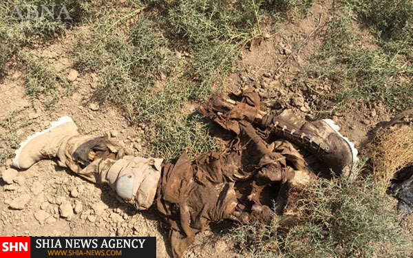 کشف اجساد داعشی ها در شهر بیجی عراق + تصاویر