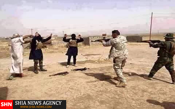 برخی از داعشی ها اینگونه در برابر نیروهای امنیتی عراق تسلیم شدند+ تصویر