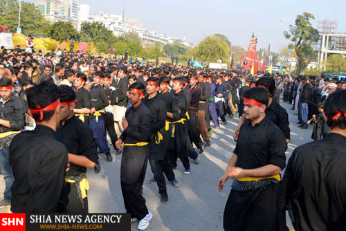 اربعین حسینی در پاکستان در قالب تصویر