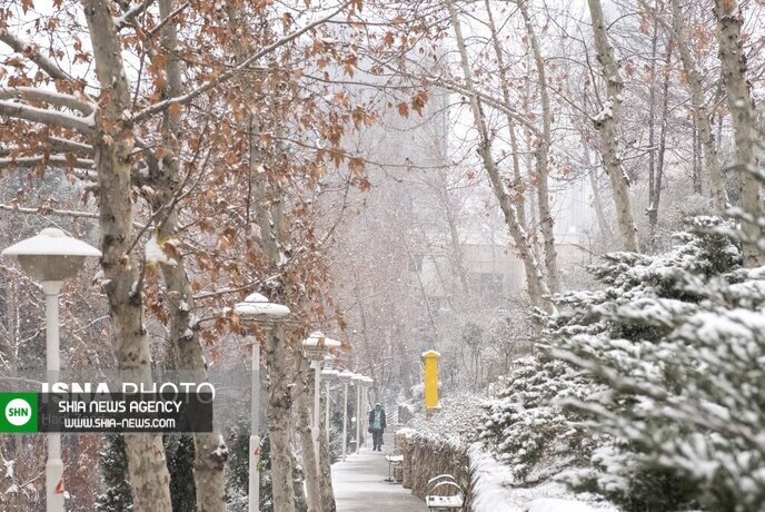 تصاویر/ تهران زیر برف و باران