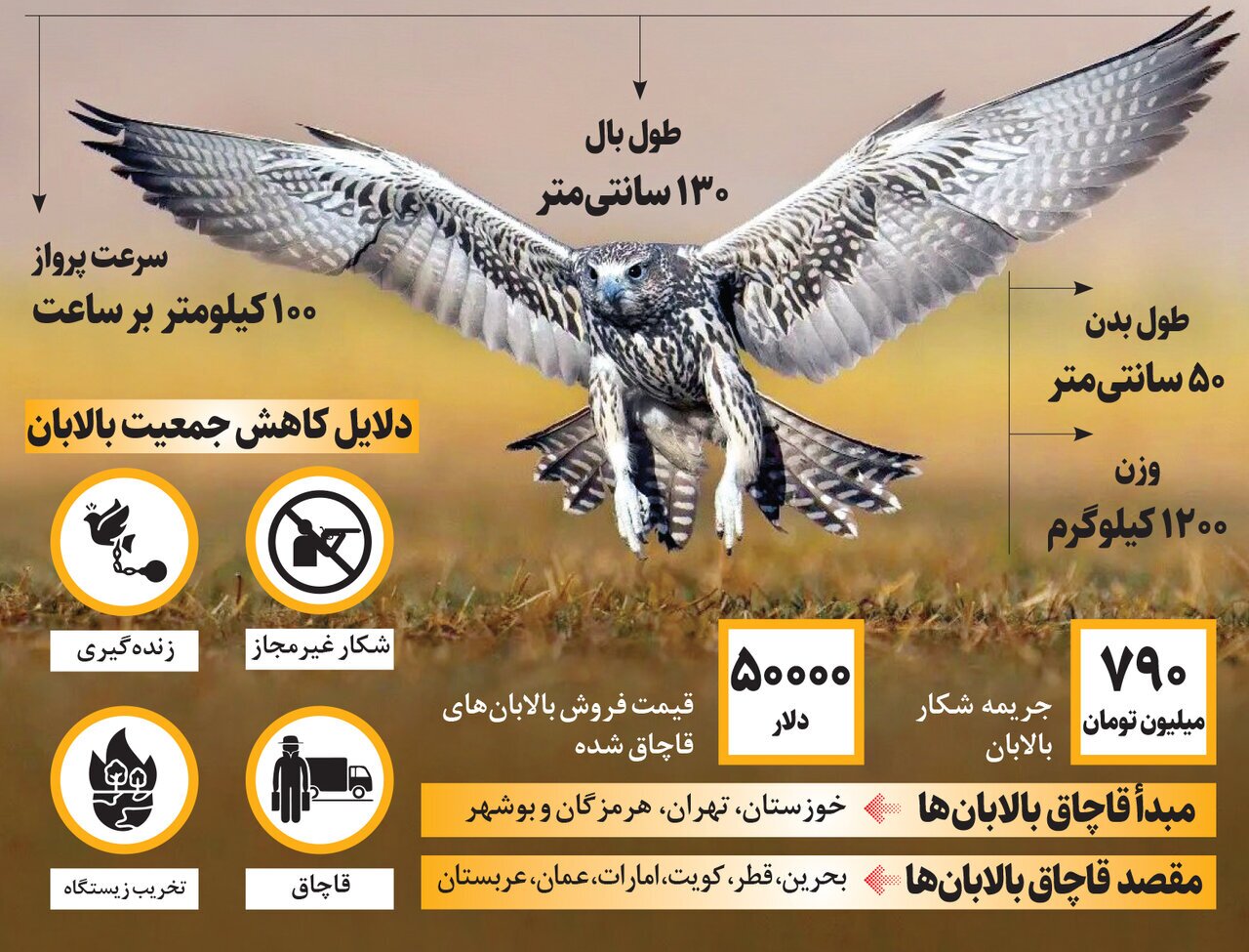 شیخ‌نشینان عرب چقدر پول برای سلاطین آسمان ایران می‌پردازند؟