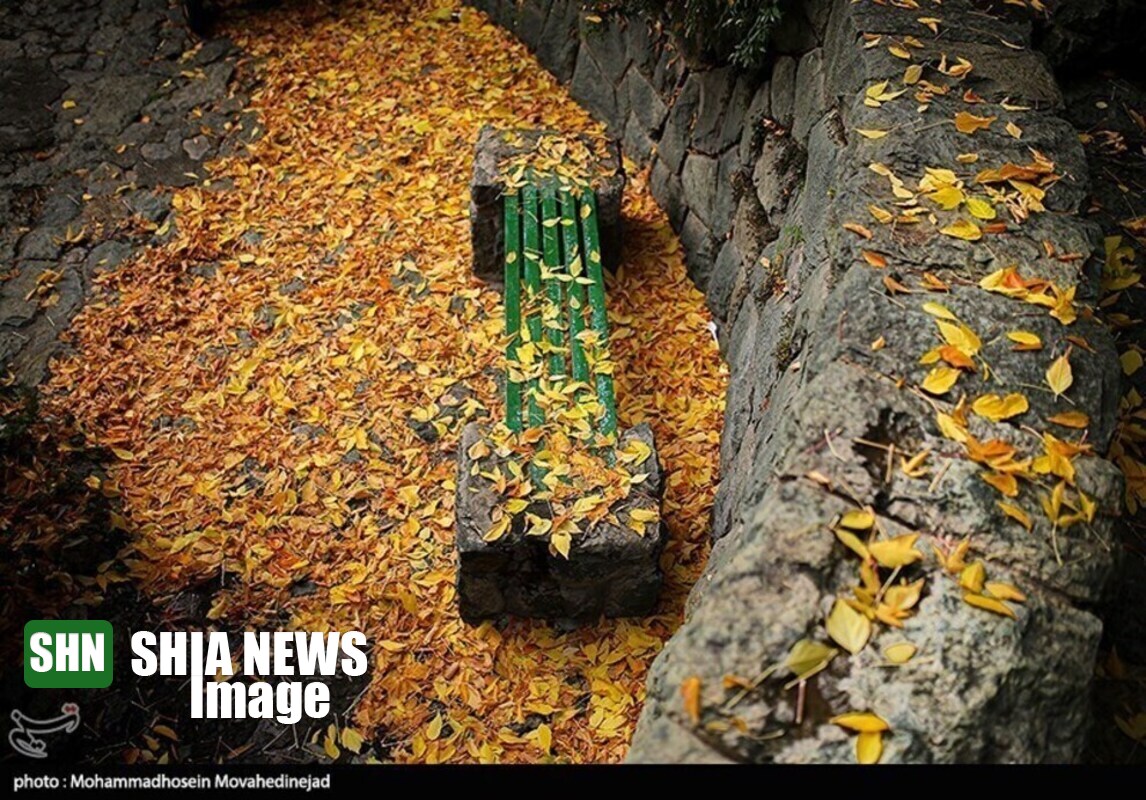 جلوه‌ی زیبایی در پاییز رنگارنگ تهران