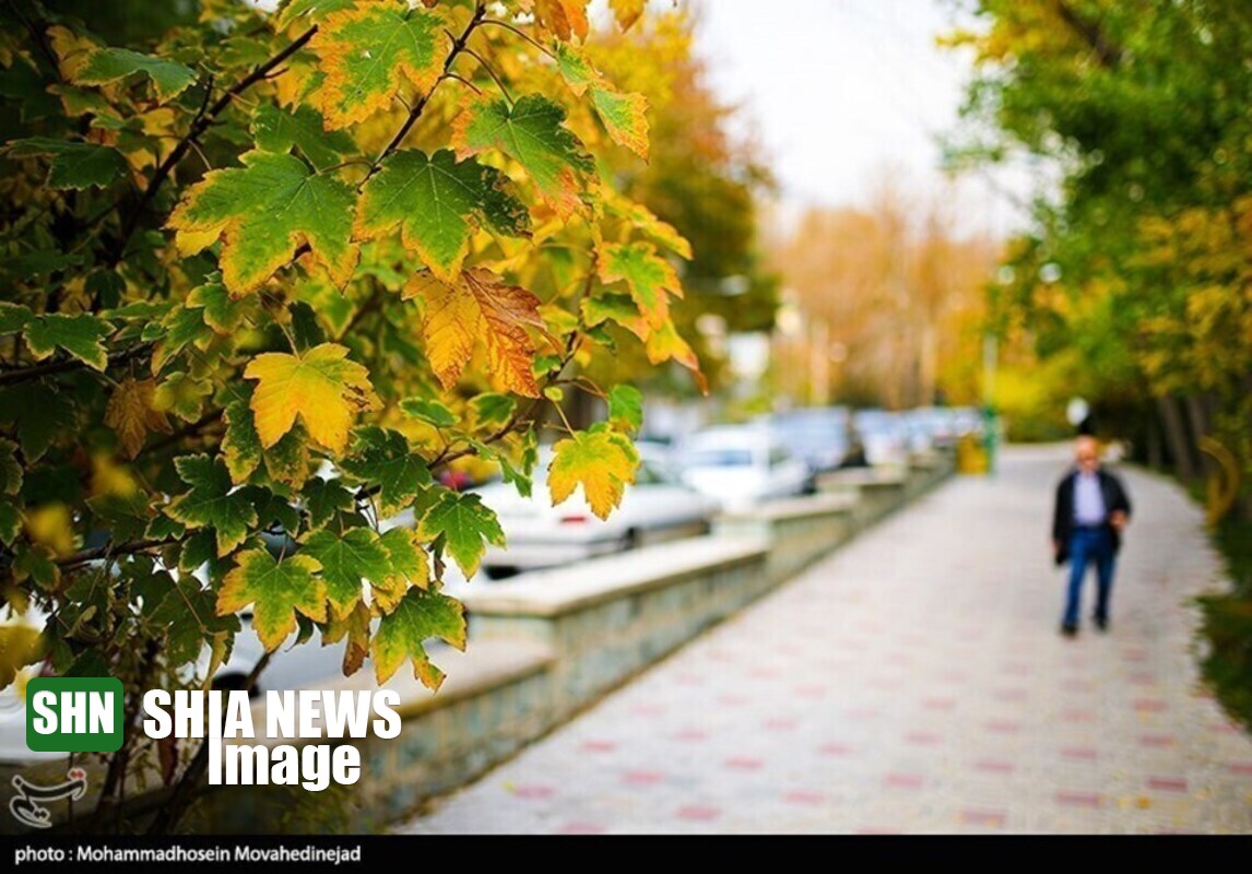 جلوه‌ی زیبایی در پاییز رنگارنگ تهران