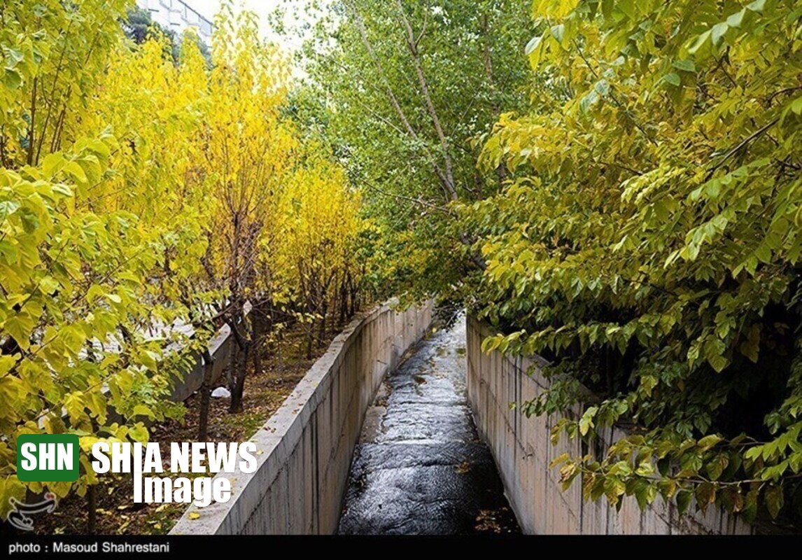 جلوه‌ی زیبایی در پاییز رنگارنگ تهران